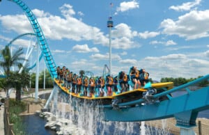 SeaWorld reports decline in attendance and revenue featured image