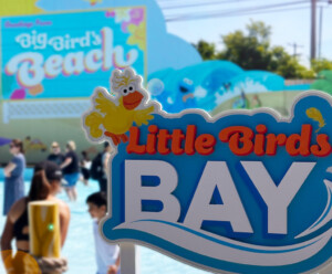 3dx Scenic partners with SeaWorld on Big Bird’s Beach featured image