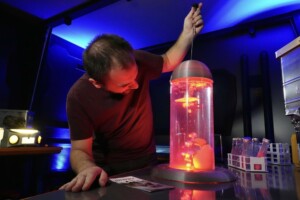 Attraktion! reveals Pigvasion and Immersium at IAAPA Expo Europe featured image