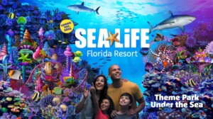 Merlin Entertainments announces expansion of Legoland Florida Resort featured image